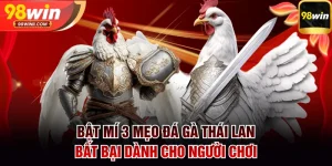 Mẹo đá gà Thái Lan
